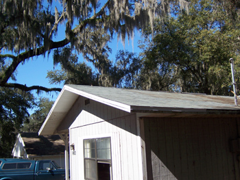 Repaired Roof Damage From Tree In Brooksville Florida