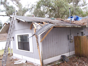 Tree Fall Roof Damage In Brooksville, Florida