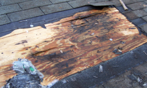 Shingle Roof Leak Rotten Wood