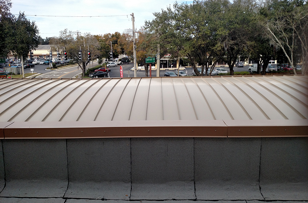 Brown Radius Roof With Coping System 
